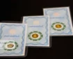 قیمت سکه پارسیان امروز شنبه ۲۱ شهریور ۱۴۰۵ + جدول