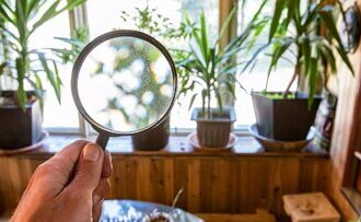 اختراع شگفت‌انگیز دانشمند زن ایرانی در آمریکا