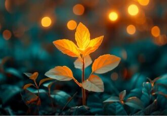 رشد گیاه بدون نور، ناممکنی که ممکن شد