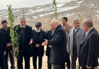 پایان کمربند سبز ۵۰ هزار هکتاری تهران پس از ۳۸ سال / درختکاری روی کوه‌های شمال تهران کلید می‌خورد