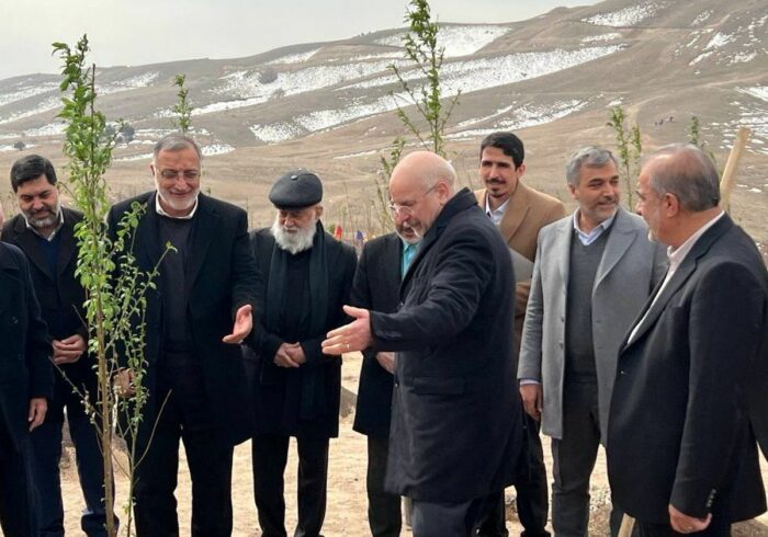 پایان کمربند سبز ۵۰ هزار هکتاری تهران پس از ۳۸ سال / درختکاری روی کوه‌های شمال تهران کلید می‌خورد
