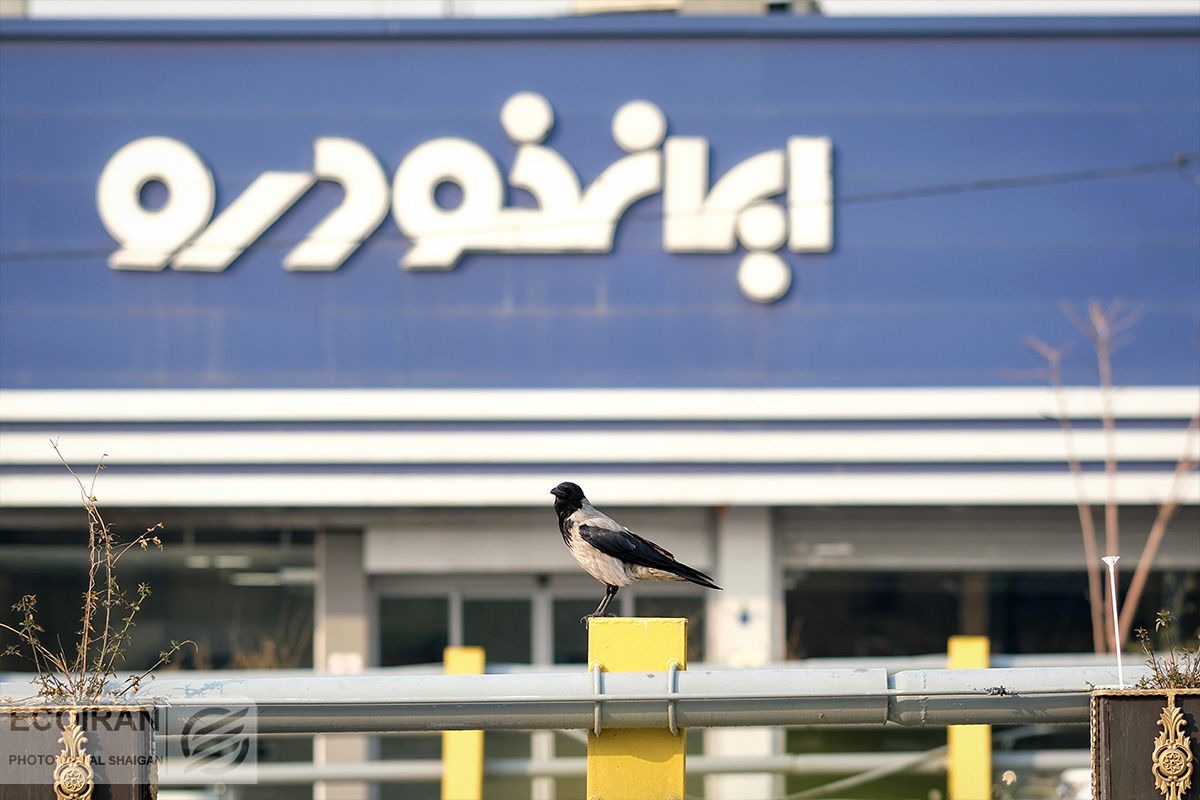 ایران خودرو در اولین طرح فروش خود در 1404 متقاضیان را شوکه کرد / دو ابهام بزرگ ایران خودرویی ها برای مشتریان / ایران خودرو جلوی سایپا کامبک زد ایران خودرو در اولین طرح فروش خود در ۱۴۰۴ متقاضیان را شوکه کرد / دو ابهام بزرگ ایران خودرویی ها برای مشتریان / ایران خودرو جلوی سایپا کامبک زد