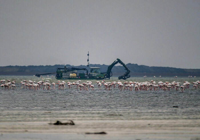 توقف پروژه پتروشیمی میانکاله؛ بازپسگیری زمین طبق دستور رئیسجمهوری توقف پروژه پتروشیمی میانکاله؛ بازپسگیری زمین طبق دستور رئیسجمهوری