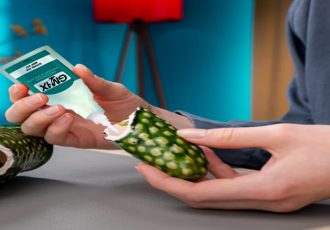 رشد تقاضا برای چسبهای ساختمانی در بازار ایران رشد تقاضا برای چسبهای ساختمانی در بازار ایران