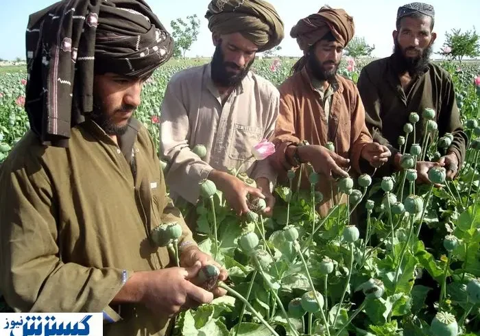 اخراج افغان‌ها برای ایران شر شد !