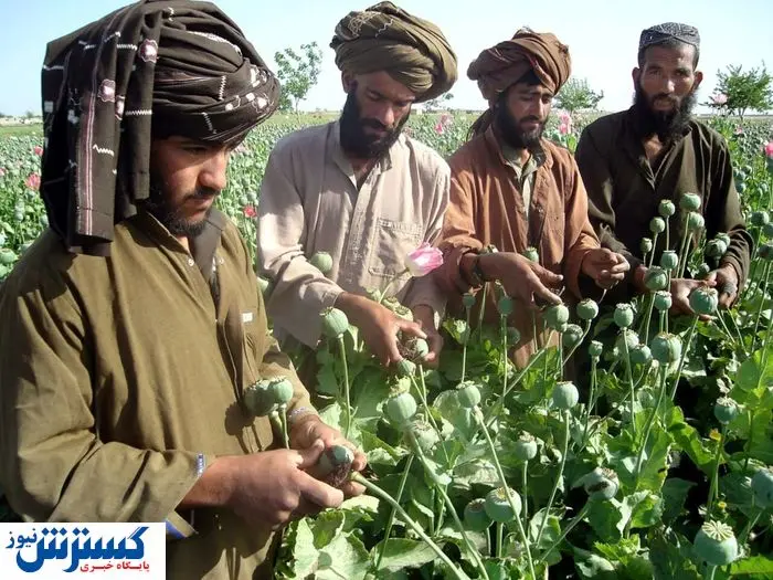 اخراج افغانها برای ایران شر شد ! اخراج افغانها برای ایران شر شد !