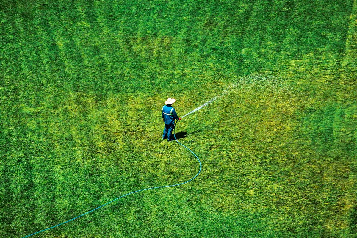 فضای سبز سوخته در انتظار پایتخت