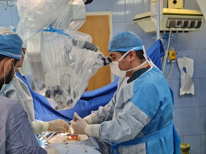 راهنمای جامع جراحی مغز و اعصاب: از آناتومی مغز تا انتخاب بهترین متخصص