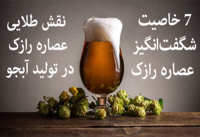 ۷ خاصیت شگفتانگیز عصاره رازک و نقش طلایی آن در تولید آبجو طبیعی ۷ خاصیت شگفتانگیز عصاره رازک و نقش طلایی آن در تولید آبجو طبیعی