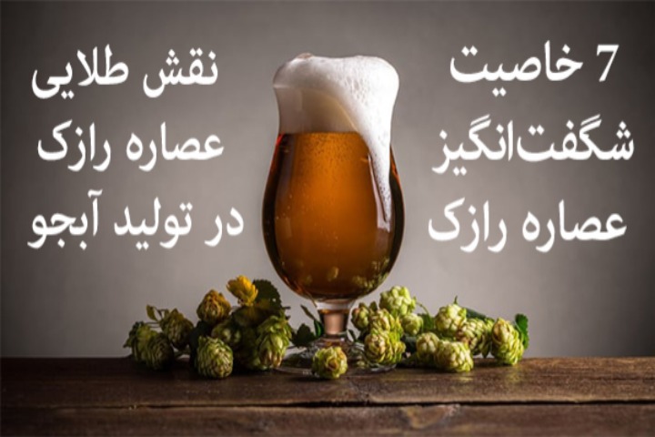 ۷ خاصیت شگفت‌انگیز عصاره رازک و نقش طلایی آن در تولید آبجو طبیعی