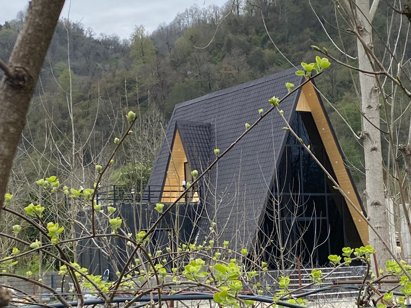 ۷ نکته تخصصی که پیش از اجاره ویلا در شهرهای شمالی (از کلبه تا ویلا انزلی) باید بدانید