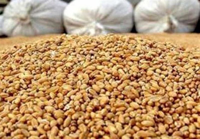 ادعای تعطیلی ۷۵ درصد کارخانجات خوراک دام به دلیل نبود نهاده