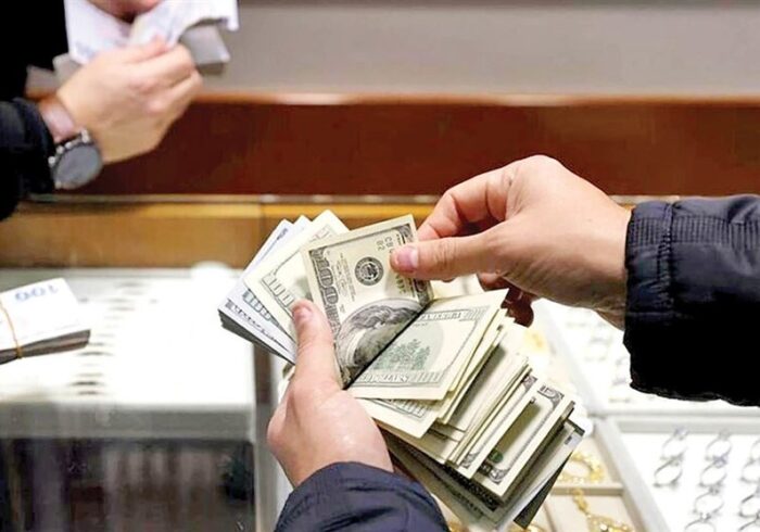 جلسه فوق‌العاده شورای هماهنگی دستگاه‌های نظارتی درباره نابسامانی‌های بازار ارز/ فرصت یک هفته‌ای برای ارائه راهکار عملی