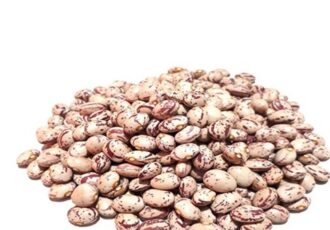 رشد 27 برابری قیمت لوبیا چیتی در 6 سال رشد ۲۷ برابری قیمت لوبیا چیتی در ۶ سال