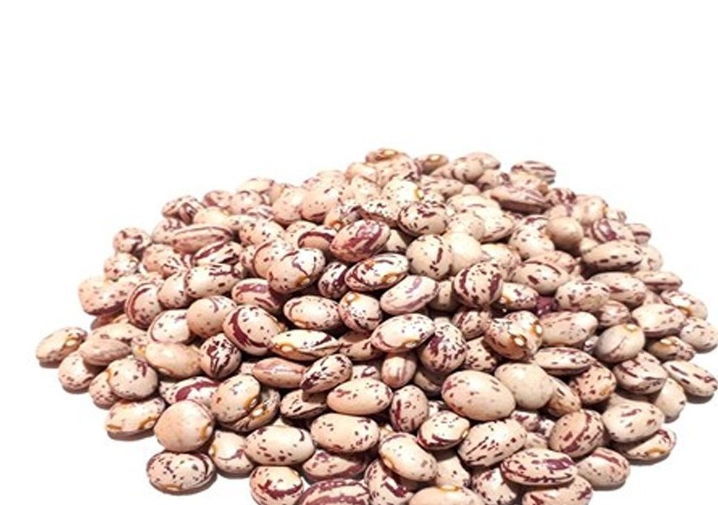 رشد ۲۷ برابری قیمت لوبیا چیتی در ۶ سال