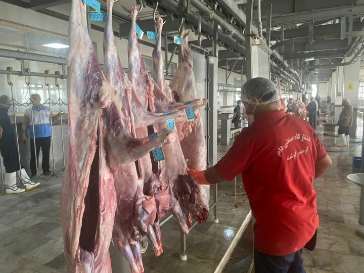 زنجیره سرد گوشت تا دورترین شهرستان‌های استان بوشهر