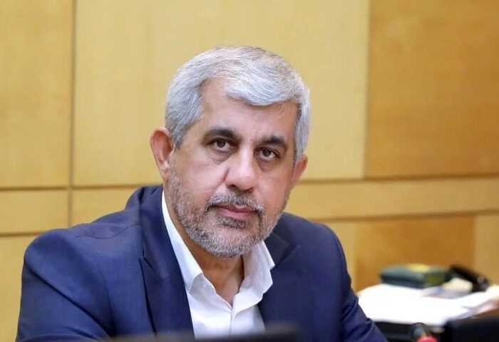 سعیدی: باید با متخلفان بزرگ اقتصادی و عاملان گرانیها برخورد قاطع شود سعیدی: باید با متخلفان بزرگ اقتصادی و عاملان گرانیها برخورد قاطع شود