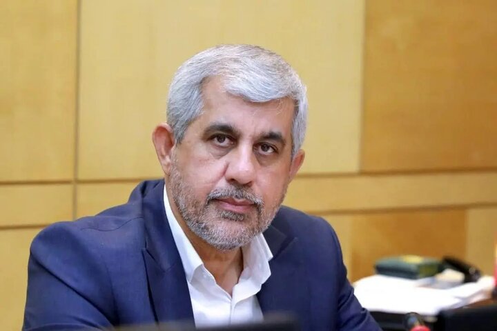 سعیدی: باید با متخلفان بزرگ اقتصادی و عاملان گرانی‌ها برخورد قاطع شود