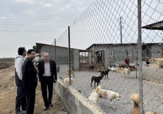 طرح جامع مدیریت سگ‌های بلاصاحب در مازندران کلید خورد