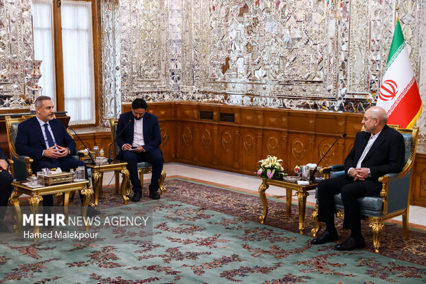 قالیباف: رژیم صهیونیستی و آمریکا با پیشرفت کشورهای اسلامی مخالفند قالیباف: رژیم صهیونیستی و آمریکا با پیشرفت کشورهای اسلامی مخالفند