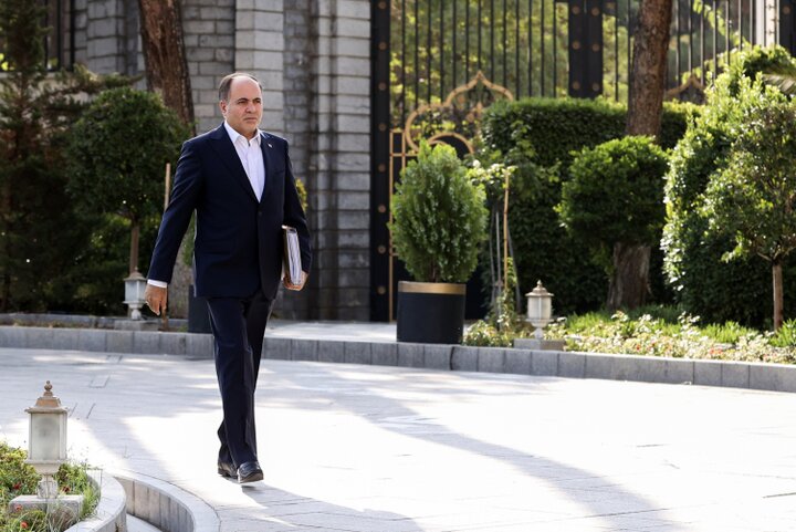 نوری قزلجه: قیمت مرغ اصلاح شده و علتی برای گرانی وجود ندارد