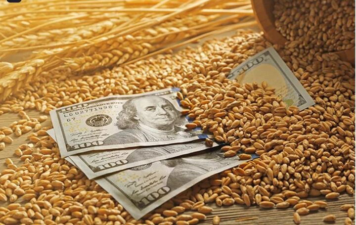 هزینه واردات جهانی مواد غذایی در سال ۲۰۲۵ رکورد زد؛ پیش بینی افزایش ۸درصدی هزینه ها