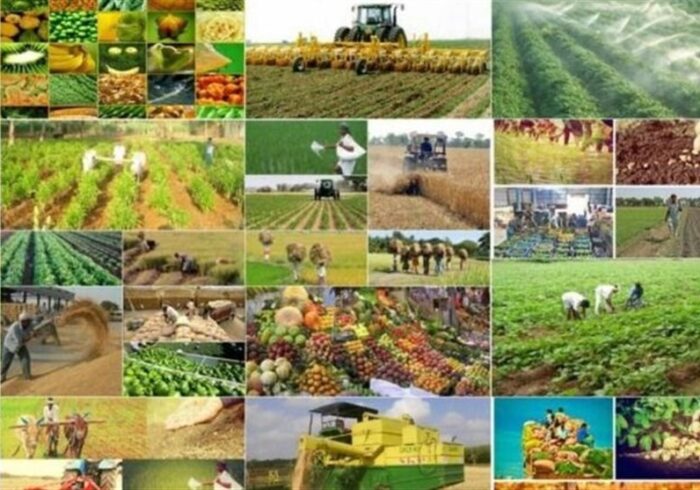 هیچ آمار کاربردی دقیقی در کشاورزی نداریم! هیچ آمار کاربردی دقیقی در کشاورزی نداریم!