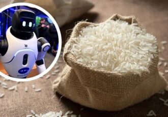 استفاده از برنج در ساخت روبات‌ها و تجهیزات مقاوم در برابر ضربه