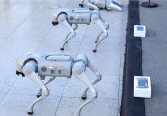 تامین امنیت جام جهانی فوتبال با این سگ‌های عجیب