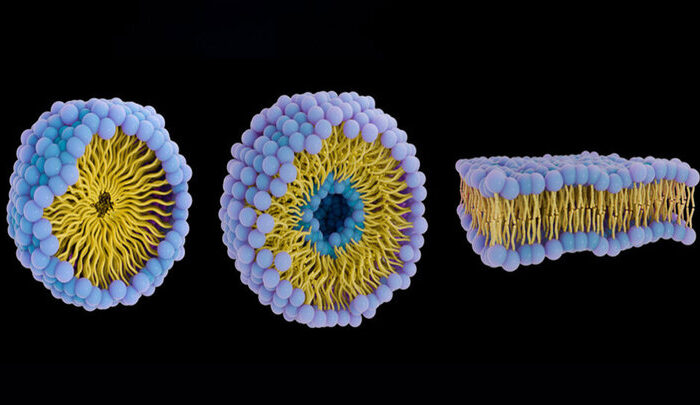 زیردریایی‌های پروتئینی علیه سرطان؛ دارورسانی هوشمند بدون عوارض گسترده